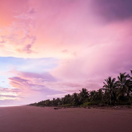 Show Pony Beach Resort And Suites ลาสลาคัส ภายนอก รูปภาพ