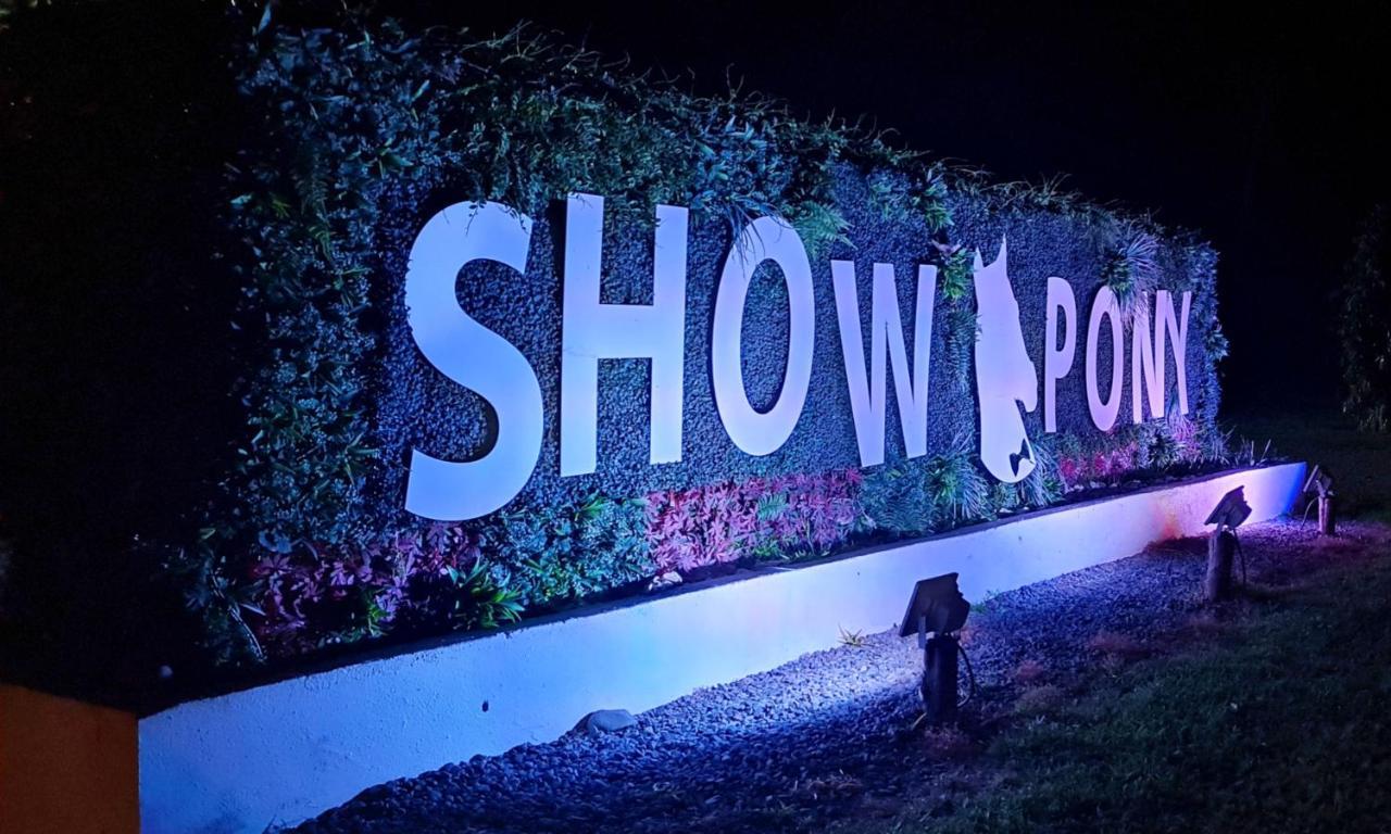 Show Pony Beach Resort And Suites ลาสลาคัส ภายนอก รูปภาพ