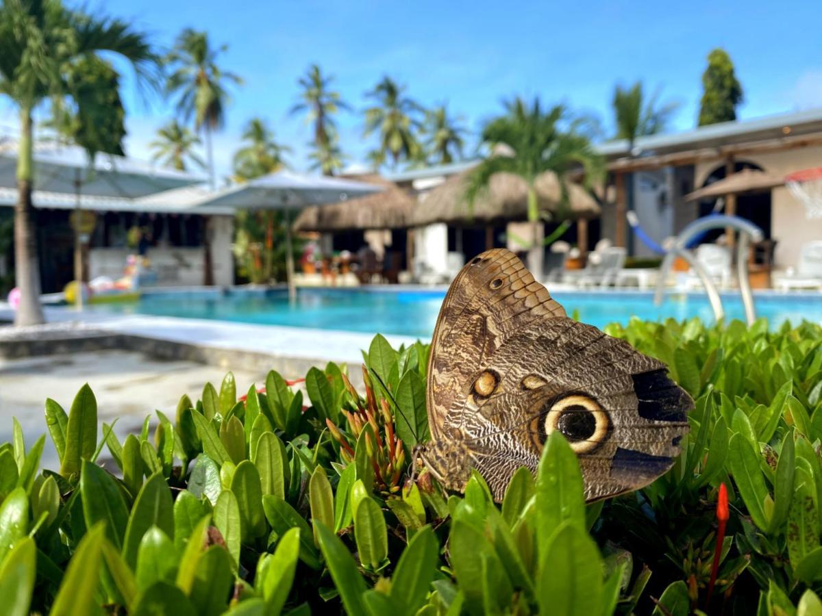 Show Pony Beach Resort And Suites ลาสลาคัส ภายนอก รูปภาพ