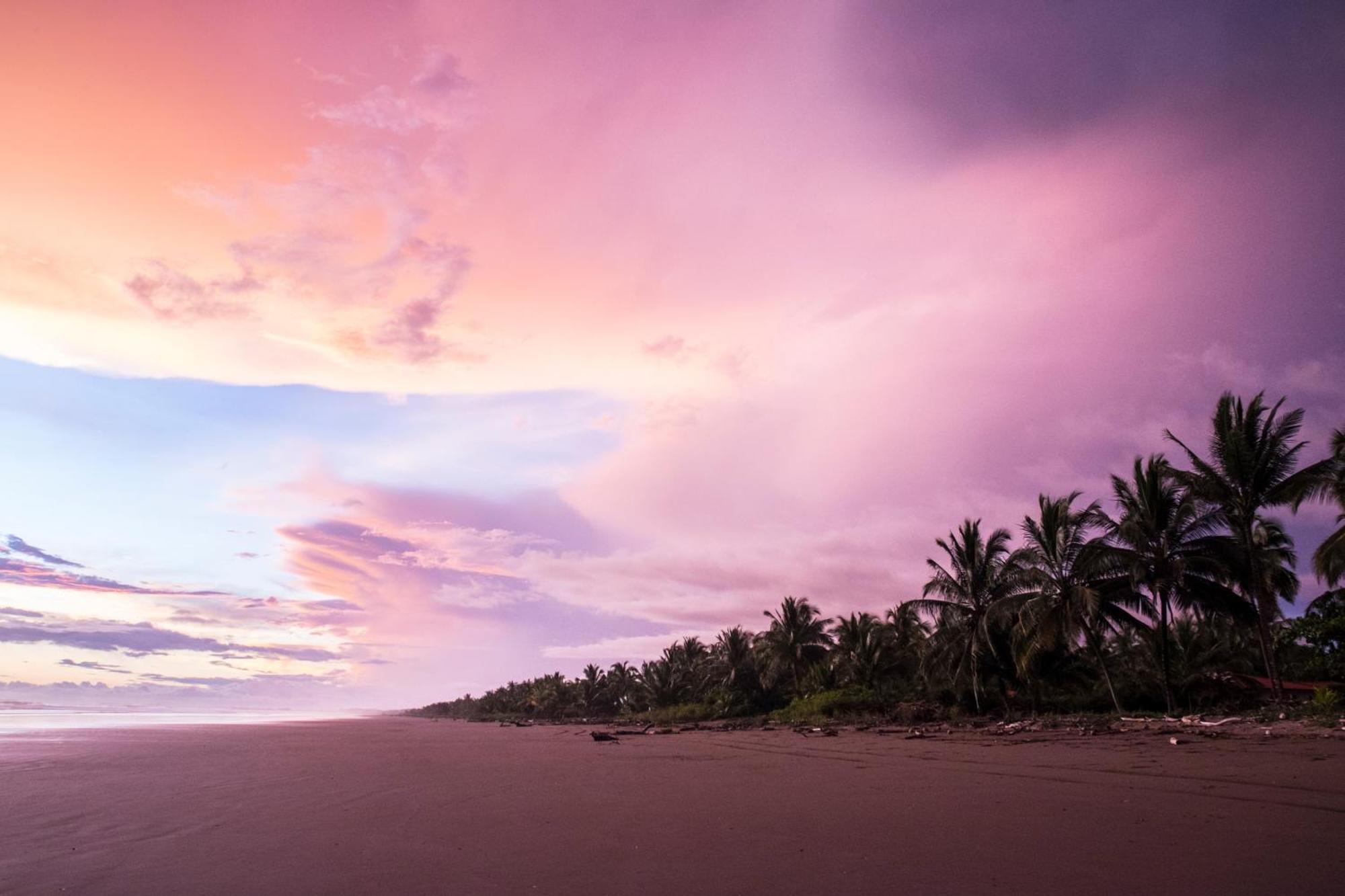 Show Pony Beach Resort And Suites ลาสลาคัส ภายนอก รูปภาพ