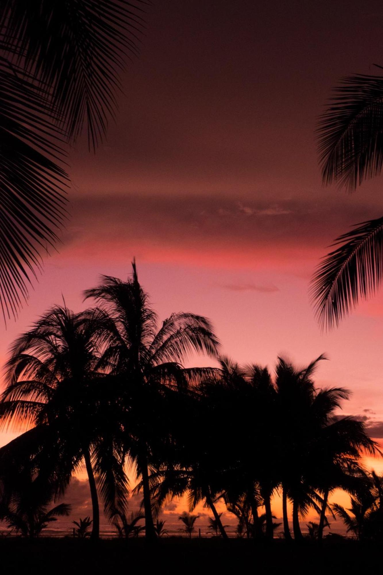 Show Pony Beach Resort And Suites ลาสลาคัส ภายนอก รูปภาพ