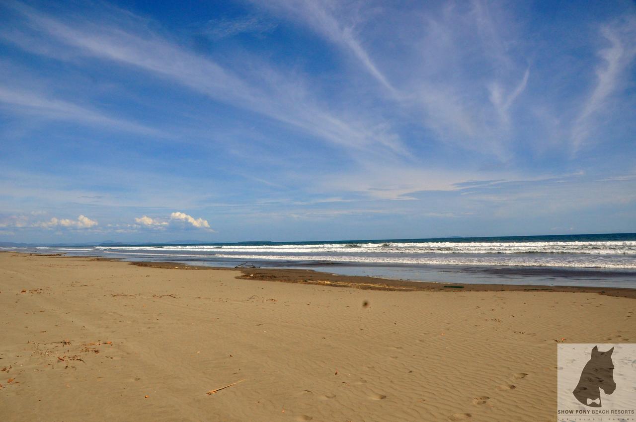 Show Pony Beach Resort And Suites ลาสลาคัส ภายนอก รูปภาพ