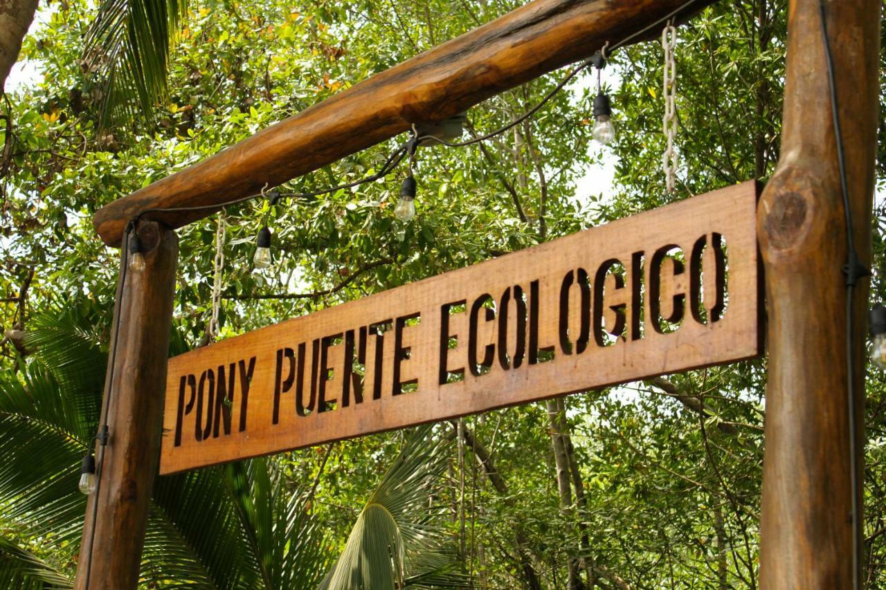 Show Pony Beach Resort And Suites ลาสลาคัส ภายนอก รูปภาพ